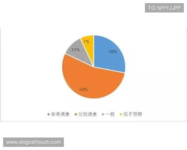 多米体育滚球比赛数据分析帮助玩家制定科学的比赛策略